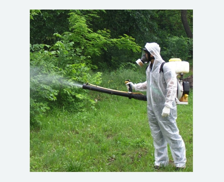 обработка территории от клещей в Заволжске