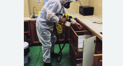 Уничтожение насекомых в квартире. Заволжск