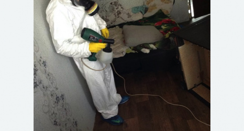 Обработка квартир от насекомых в Заволжске