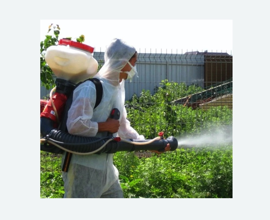 Акарицидная обработка территории в Заволжске