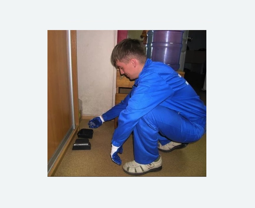 Дератизация крыс в Заволжске