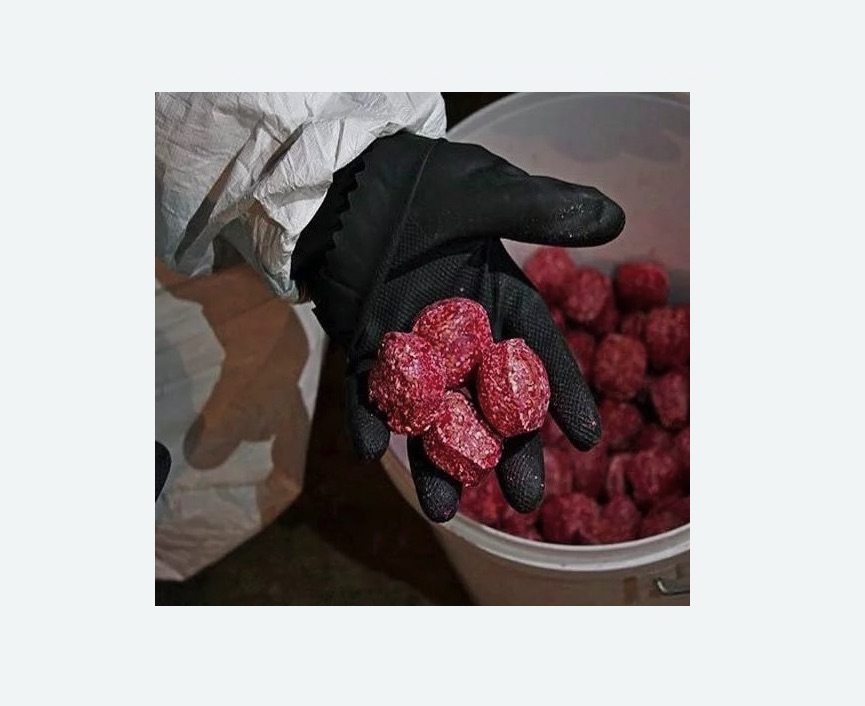 Обработка от крыс в Заволжске