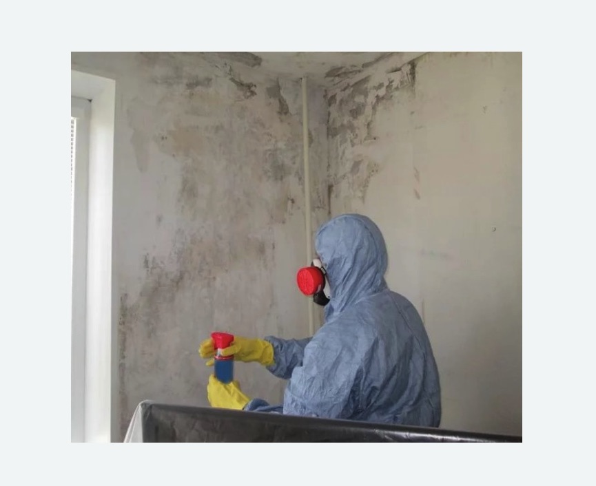 Удаление плесени в квартире в Заволжске