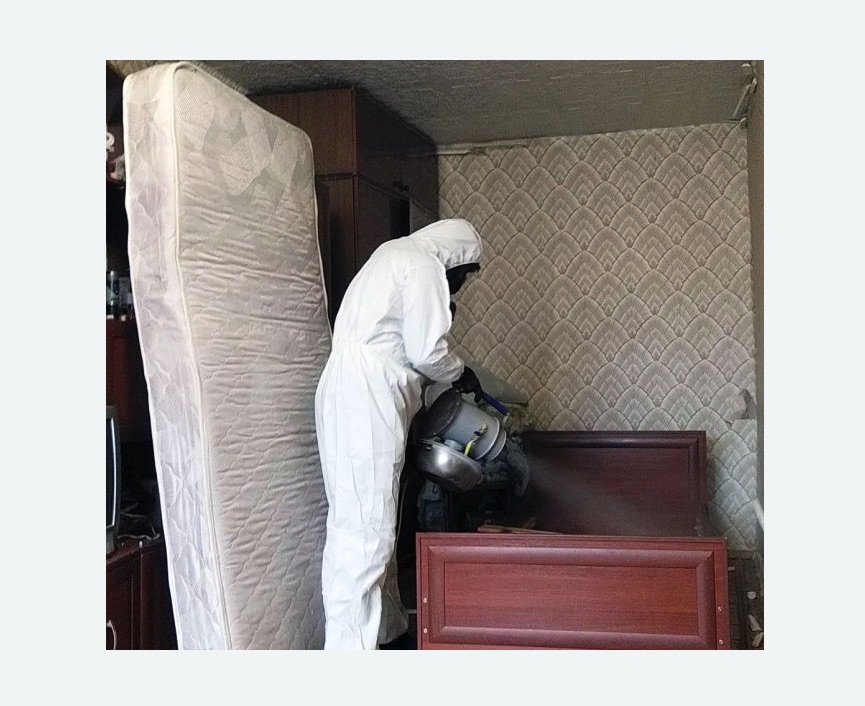 дезинфекция от клопов в Заволжске