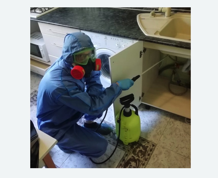 обработка от муравьев в квартире в Заволжске