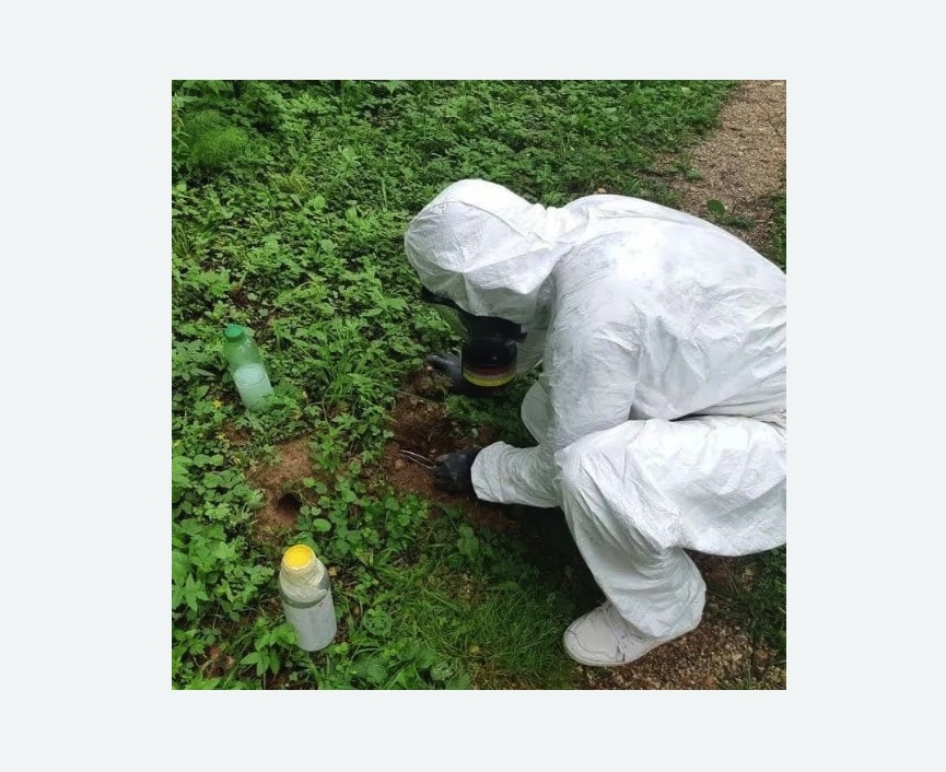 уничтожение кротов на участке в Заволжске