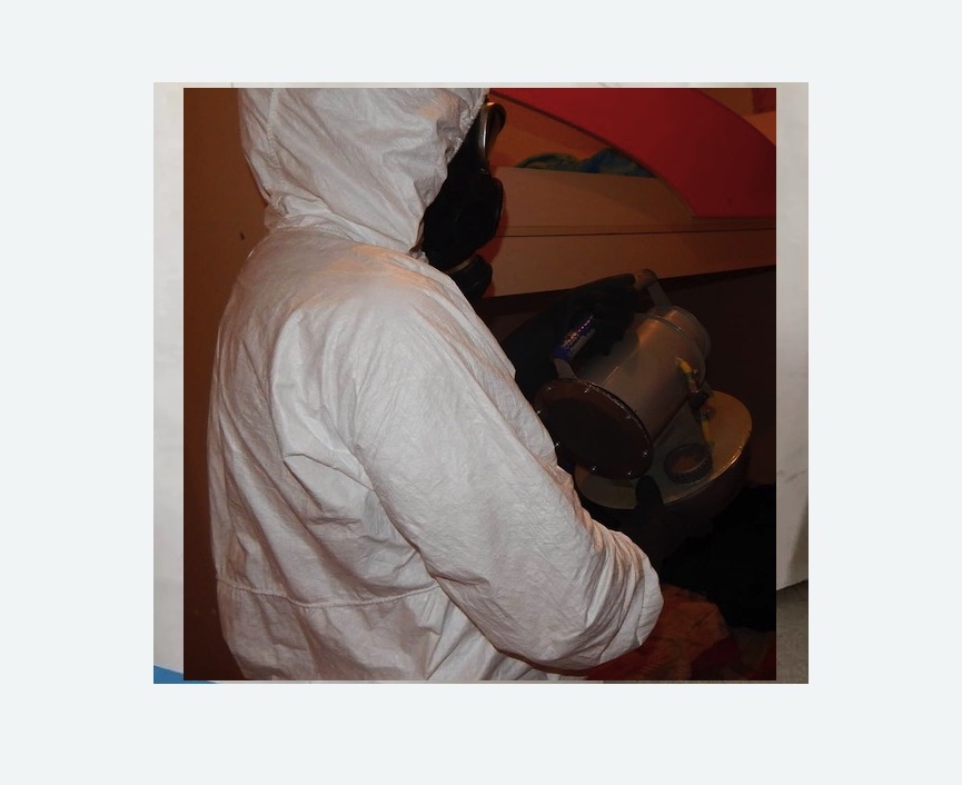 Дезинфекция от муравьев в Заволжске