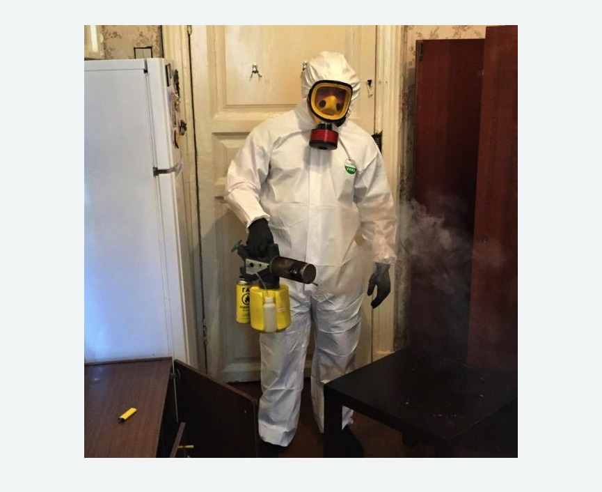 уничтожение муравьев в квартире в Заволжске